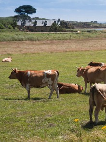 Bretagne Brittany http://www.properties-brittany.com/